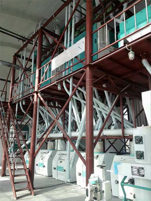 1772178371269562.jpg 大中型面粉产线.jpg