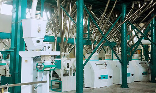 1775803223169906.jpg 面粉产线.jpg